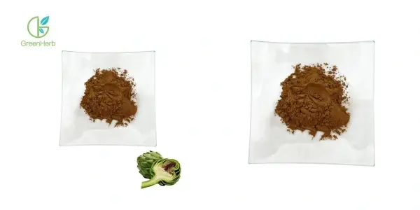 coa_副本.webp coa_副本.webp