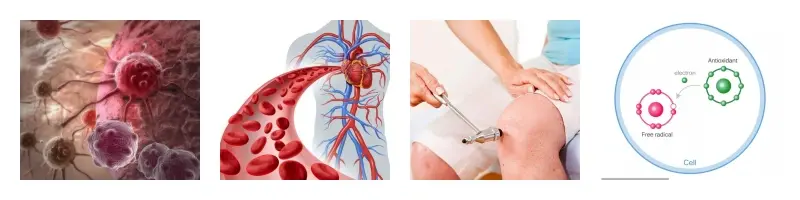 产品COA_副本.webp 产品COA_副本.webp