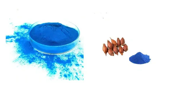 主图.webp 主图.webp