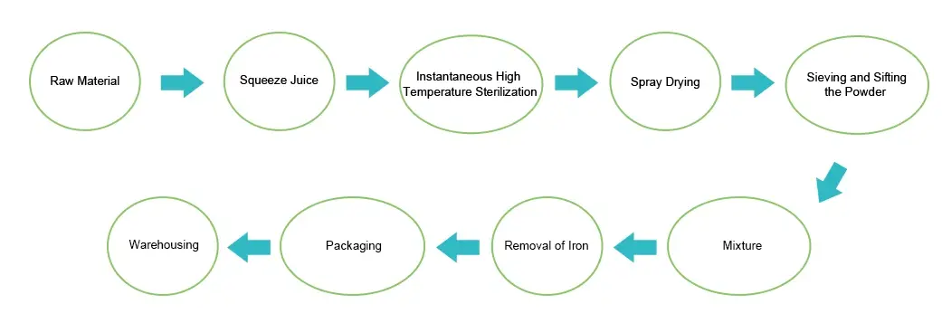 Diagrama de fluxo do po de remolacha vermella.webp Diagrama de fluxo do po de remolacha vermella.webp