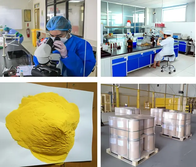 应用.webp 应用.webp