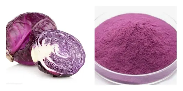 coa_副本.webp coa_副本.webp