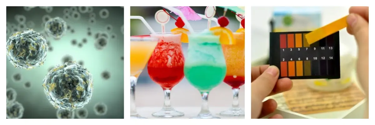 coa_副本.webp coa_副本.webp