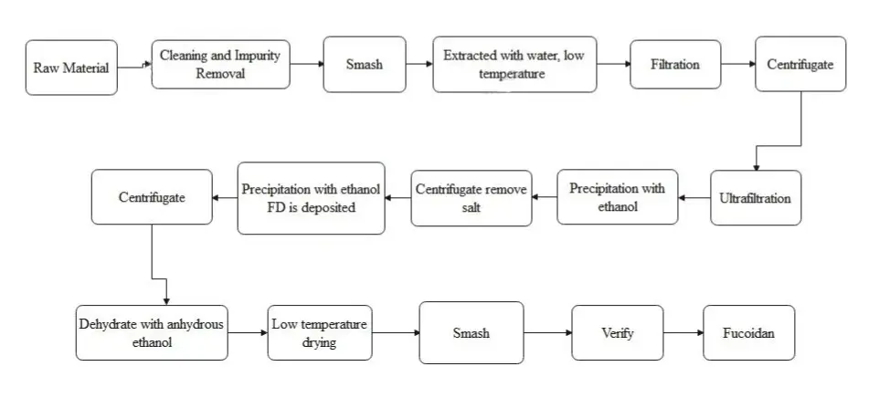 Diagrama de fluxo de Fucoidan Powder.webp Diagrama de fluxo de Fucoidan Powder.webp
