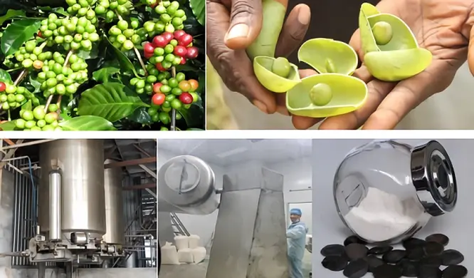 流程.webp 流程.webp