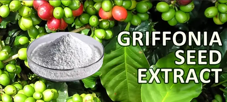 主图.webp 主图.webp