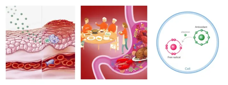 功效.webp 功效.webp