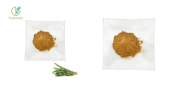 主图.webp 主图.webp