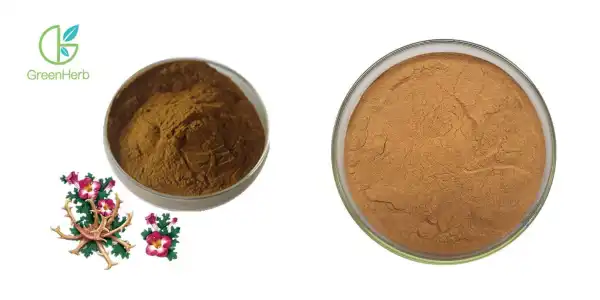 主图.png 主图.png