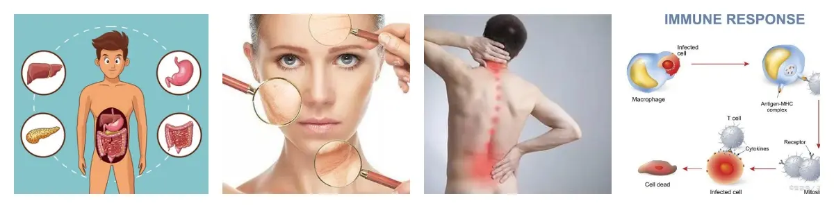 功效.webp 功效.webp