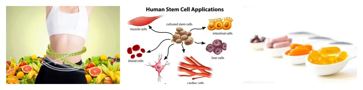 Extracto de Citrus Aurantium Sinefrina Extracto de Citrus Aurantium Sinefrina