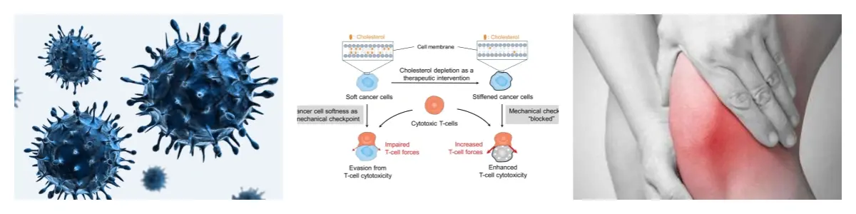 功效.webp 功效.webp