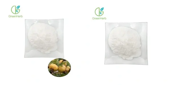 主图.webp 主图.webp