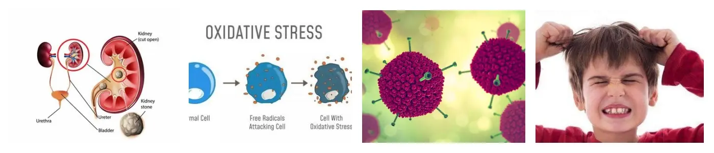 功效.webp 功效.webp