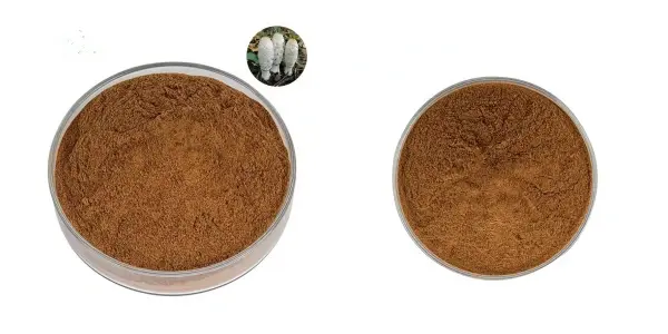 Z糊涂1.webp Z糊涂1.webp