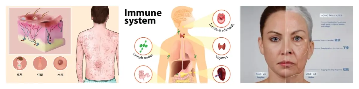 功效图.webp 功效图.webp
