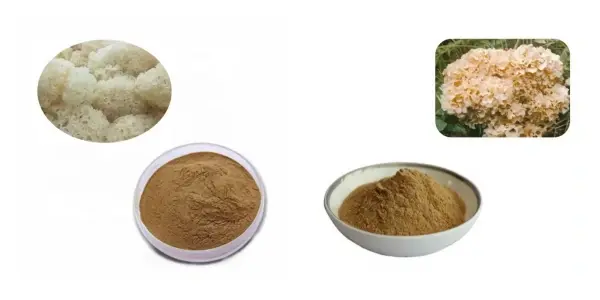 附图.webp 附图.webp