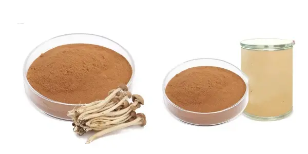 茶树菇.webp 茶树菇.webp