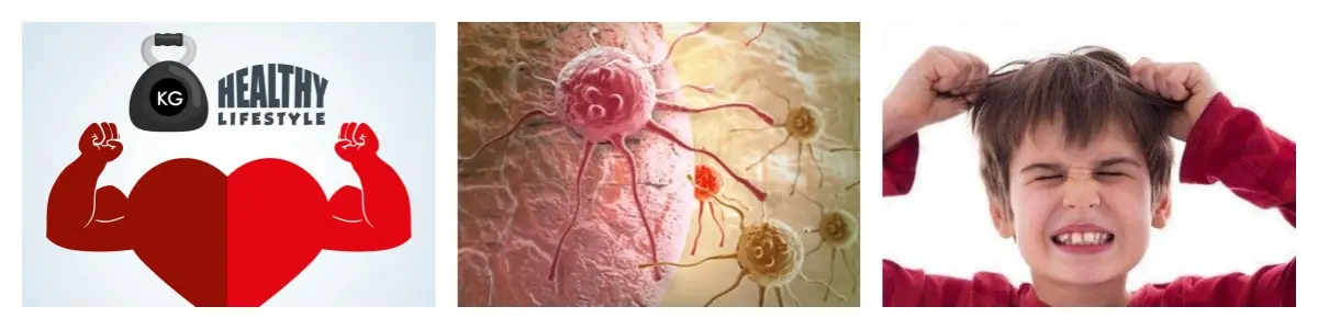 茶树菇1_副本.webp 茶树菇1_副本.webp