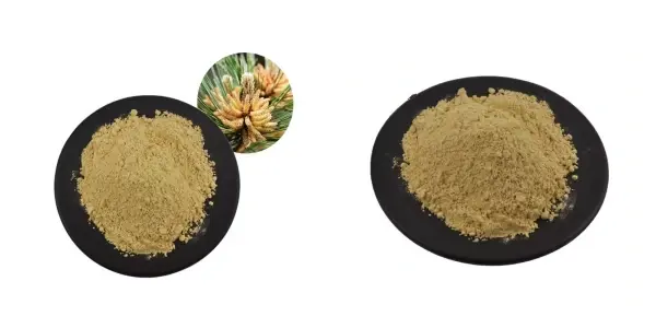 Luchdaich sìos 2.webp