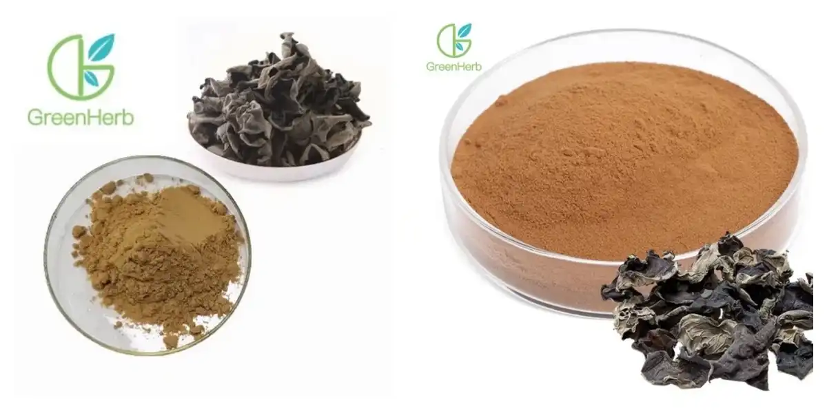 Luchdaich sìos 6.webp