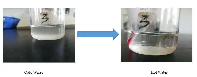 Water can.webp