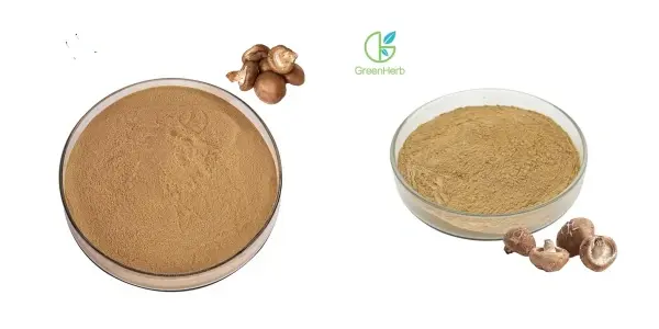 balgan-buachair Shiitake 主图.webp