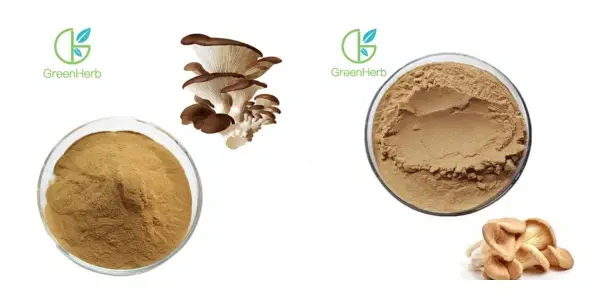 Earrann Mushroom Oyster 主图.webp