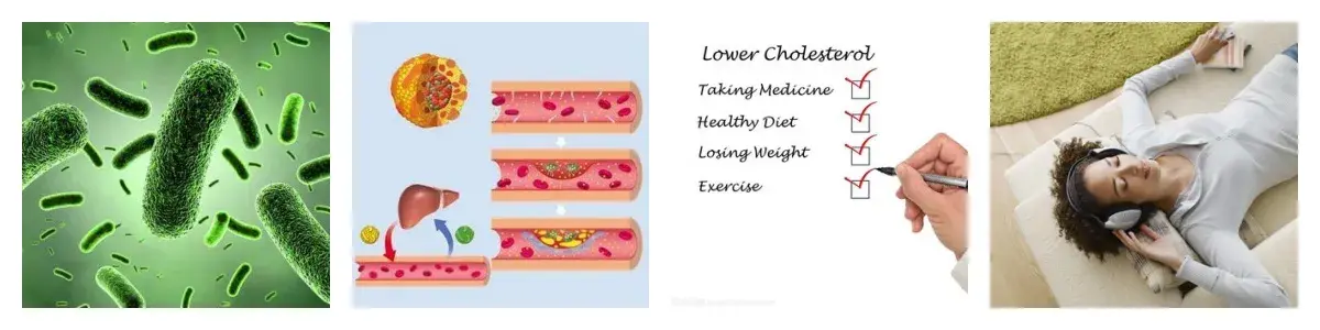 Pùdar Berberine Hcl_副本 (1)(1).webp