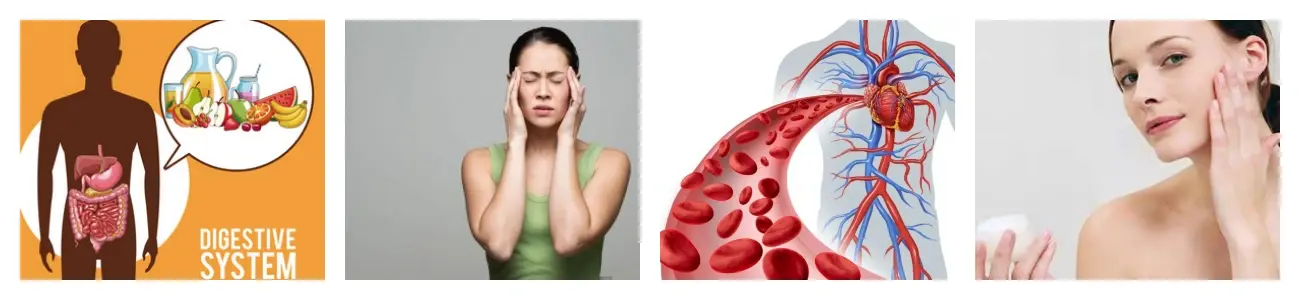 功效.webp 功效.webp