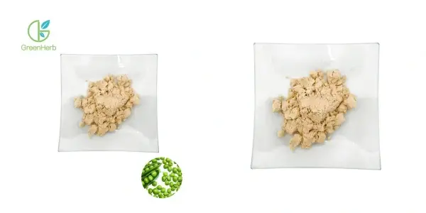 Proteína de chícharo en po.webp Proteína de chícharo en po.webp