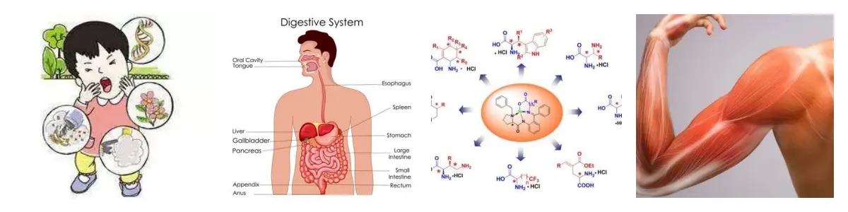功效.webp 功效.webp