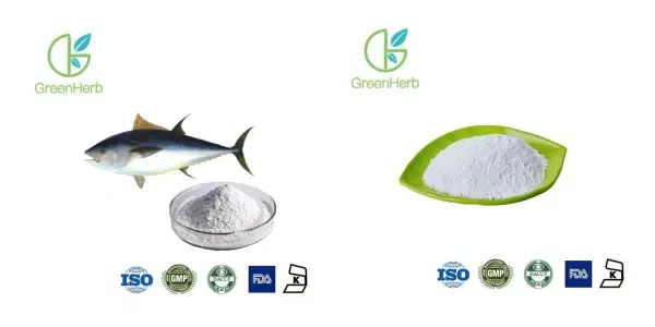 Collagen Iasg Peptide.webp