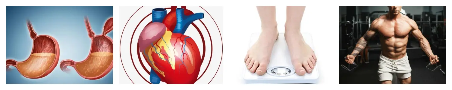 鹰嘴豆功效.webp 鹰嘴豆功效.webp