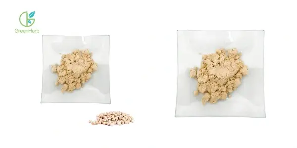 Proteína de garavanzo en po.webp Proteína de garavanzo en po.webp