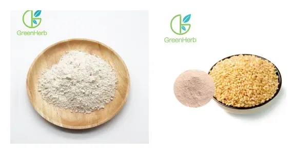Proteína de arroz integral en po.webp Proteína de arroz integral en po.webp