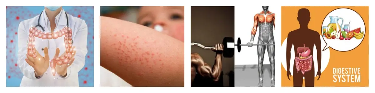 功效2.webp 功效2.webp