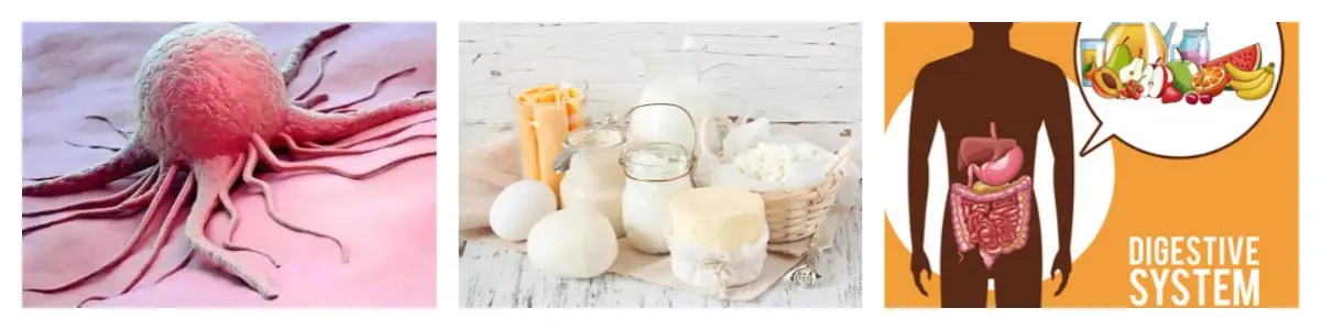 功效4.webp 功效4.webp