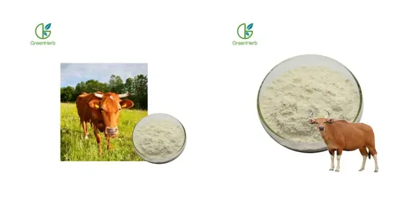 Coláxeno bovino .webp Coláxeno bovino .webp