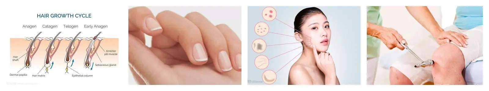 功效3.webp 功效3.webp