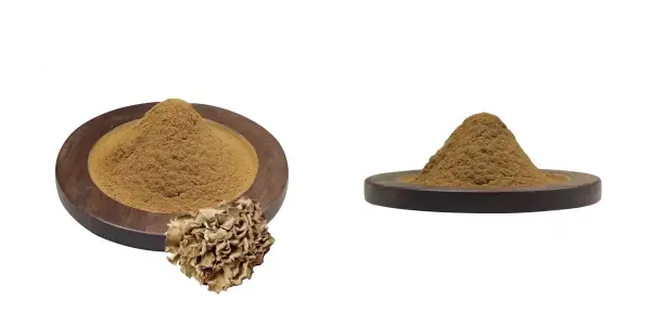 Cogomelo Maitake.webp