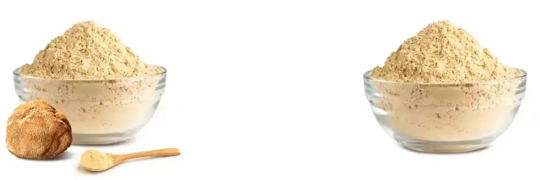 Extracto de cogomelo de melena de león