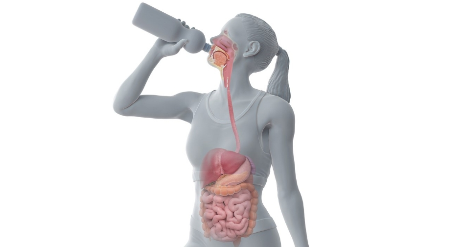 Pùdar Earrann Tì Uaine