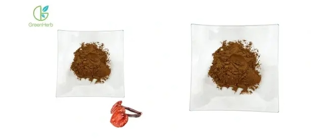 Earrann balgan-buachair Reishi