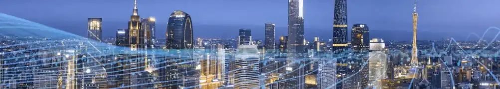 Earrann balgan-buachair Reishi