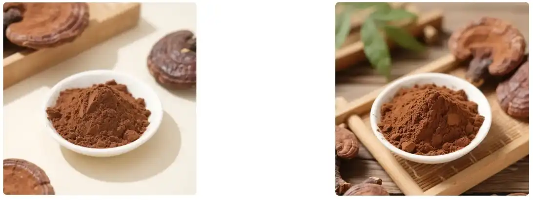 Cogomelo Reishi en po Cogomelo Reishi en po