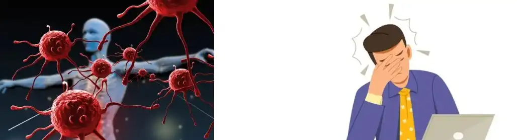 cogomelo reishi en po