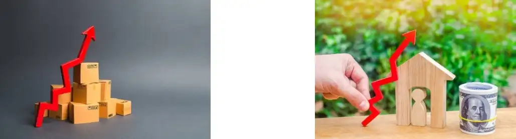 Extracto de Citrus Aurantium Sinefrina Extracto de Citrus Aurantium Sinefrina