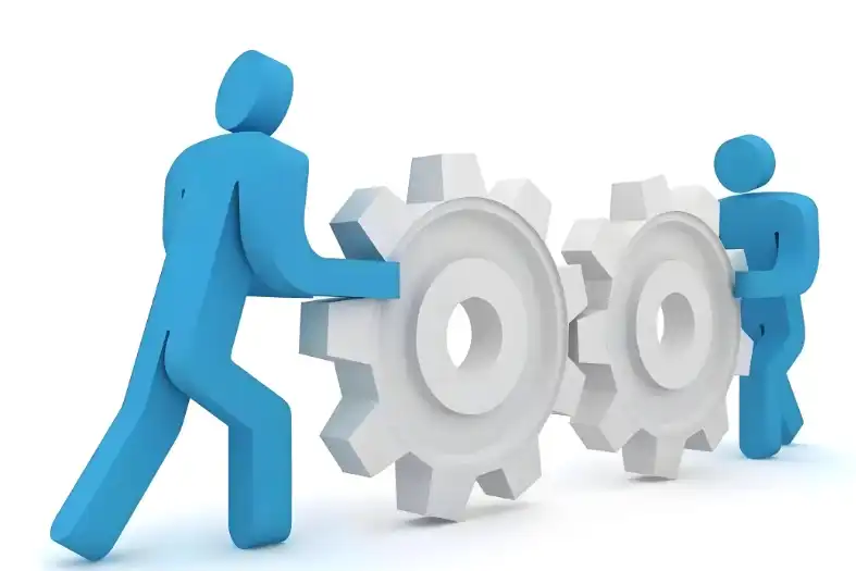 Citrus Aurantium Earrann Synephrine