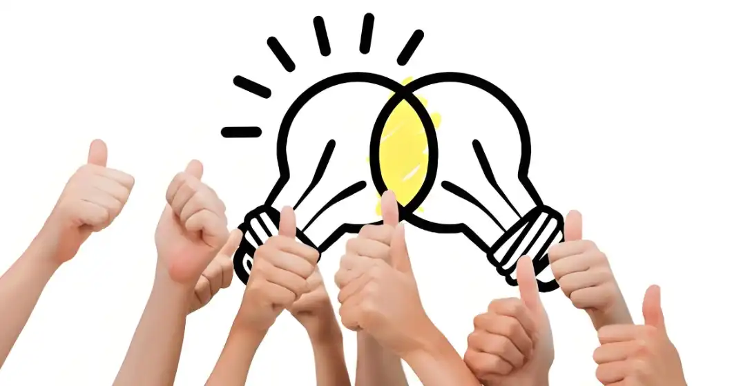 Extracto de cogumelos Reishi